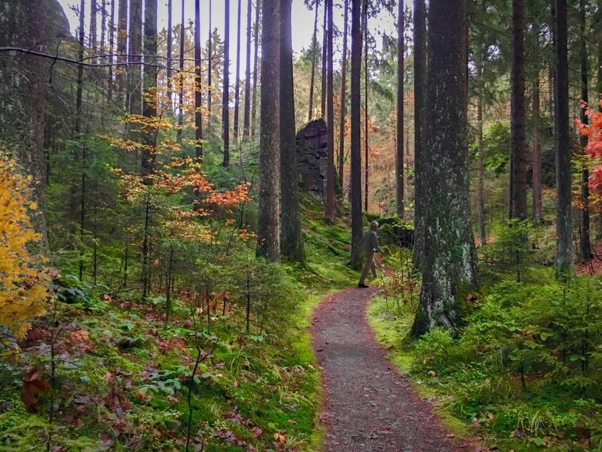 Harz Hotel Und Gaestehaus Am Bornweg Bad Sachsa Eksteriør billede
